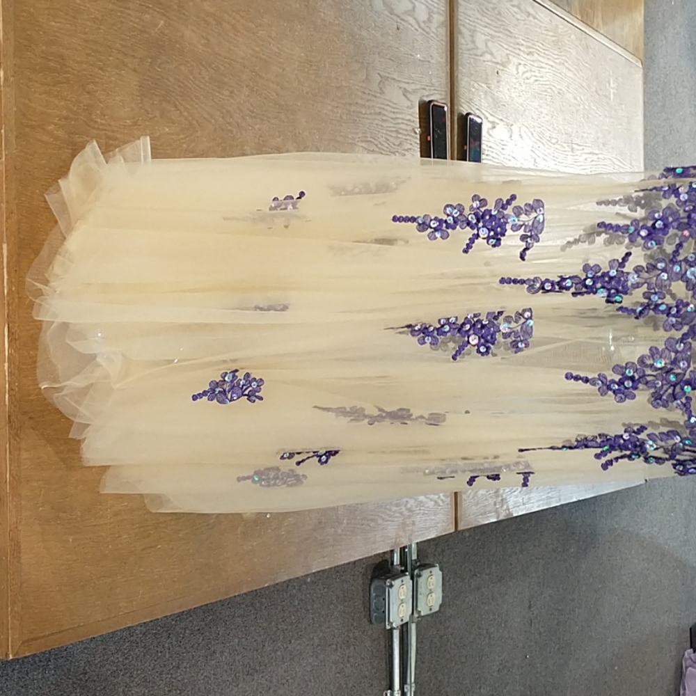 Prom dress - Picture 5 of 6